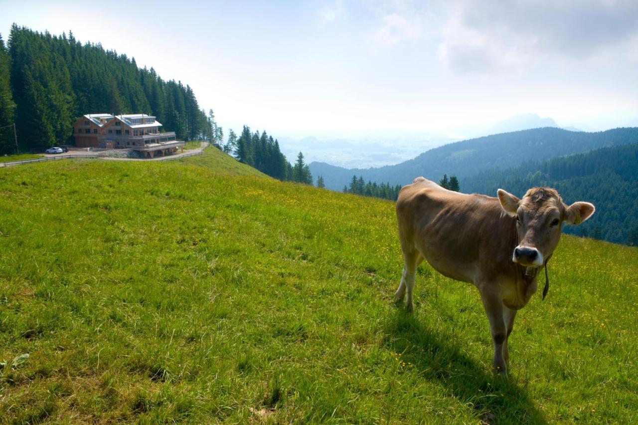 Boecklodges Неселванг Екстериор снимка